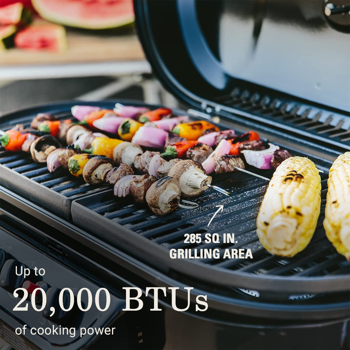 Gas Grill Portable Propane Grill Roadtrip