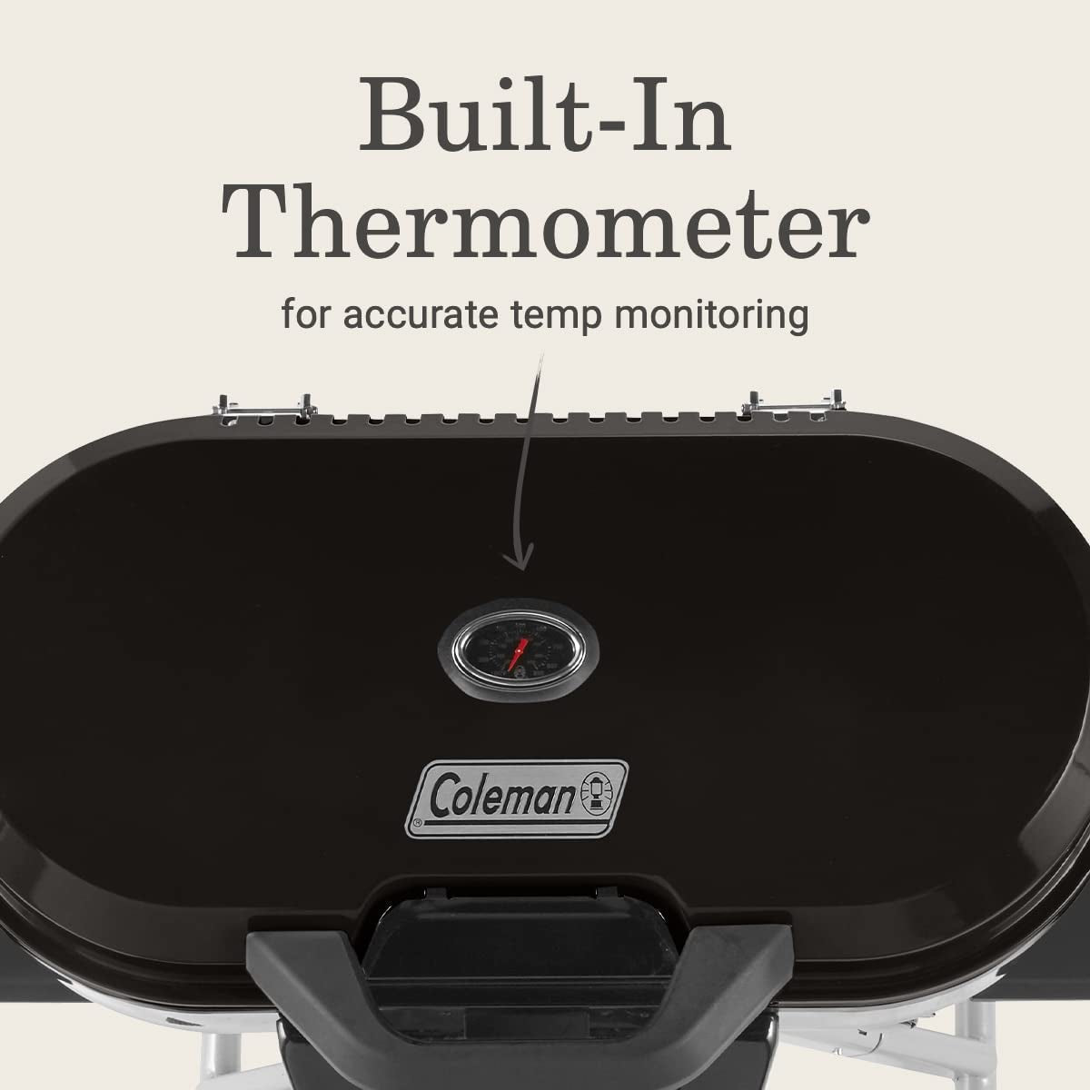 Gas Grill Portable Propane Grill Roadtrip